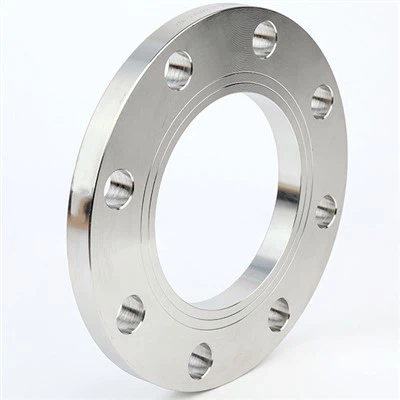 Bridas planas Hastelloy Alloy C276 DIN 2573 2576 2502 2503 para soldar